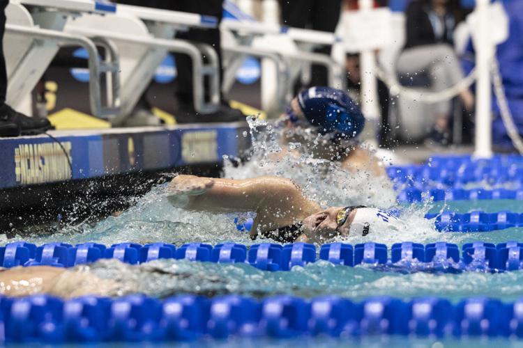 250322_LeahDowning_NCAAWomensSwimDive_149.jpg