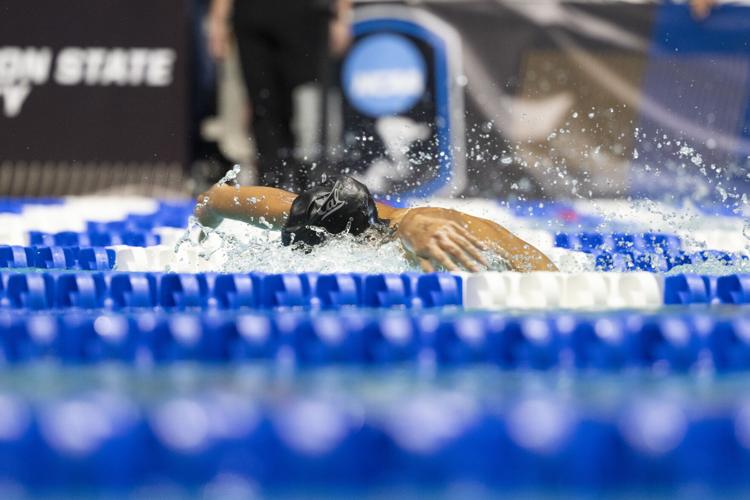 250322_LeahDowning_NCAAWomensSwimDive_151.jpg
