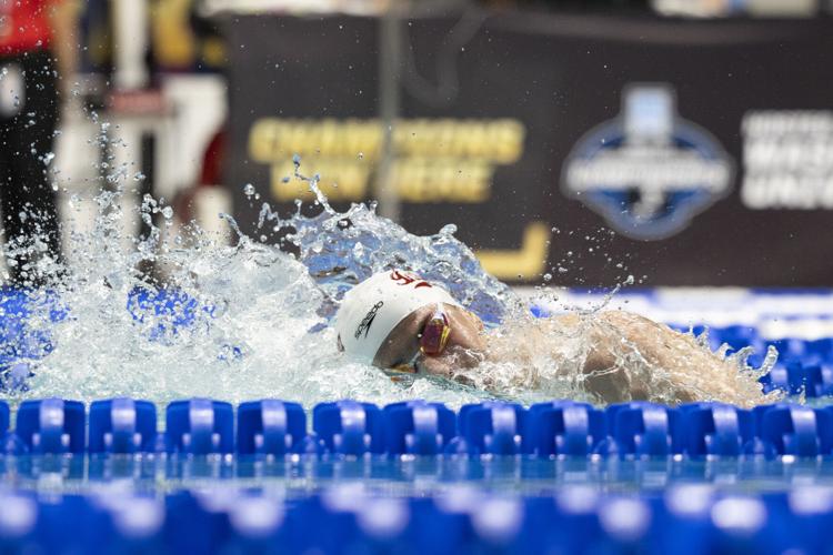 250327_LeahDowning_NCAAMensSwimDive_1.jpg