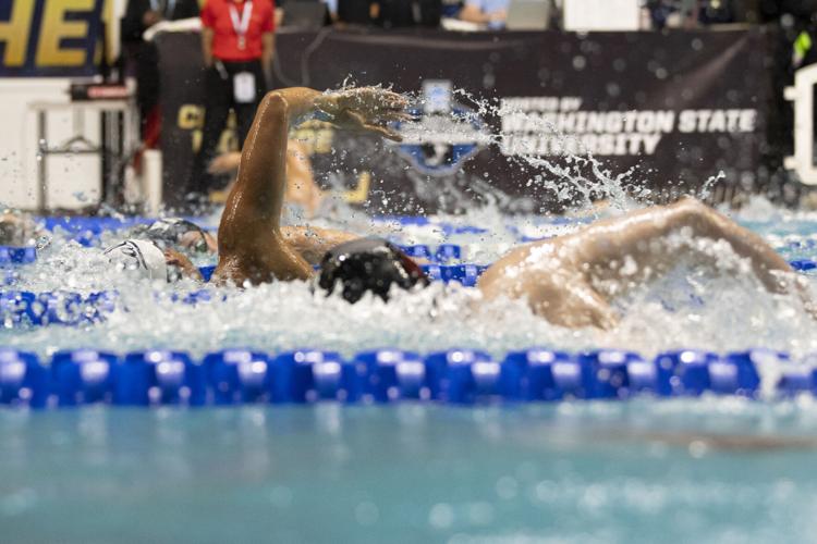 250327_LeahDowning_NCAAMensSwimDive_4.jpg