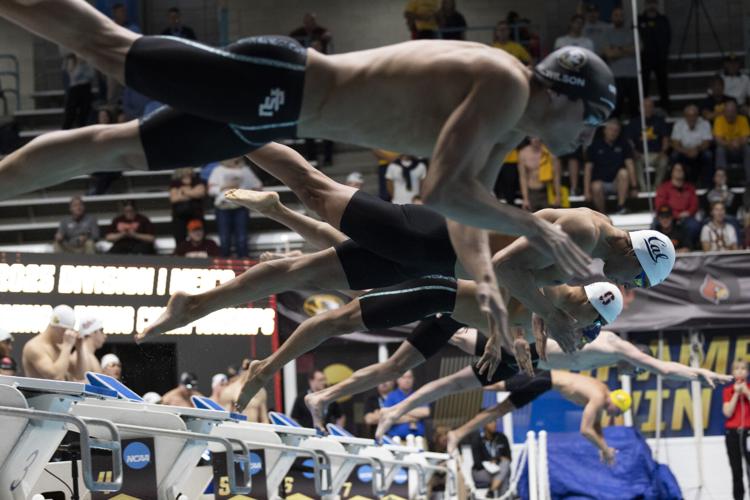 250327_LeahDowning_NCAAMensSwimDive_12.jpg