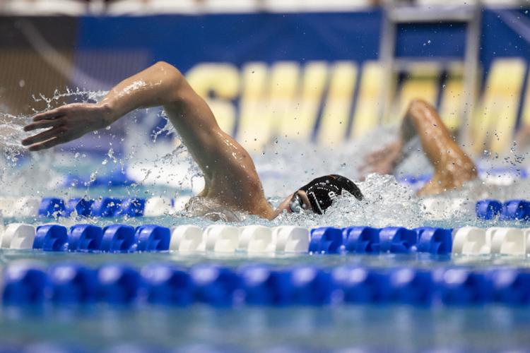 250327_LeahDowning_NCAAMensSwimDive_17.jpg