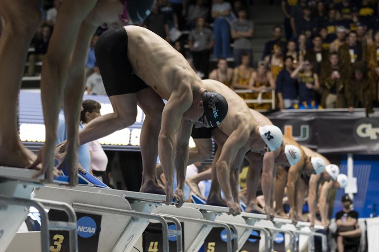 250327_LeahDowning_NCAAMensSwimDive_19.jpg
