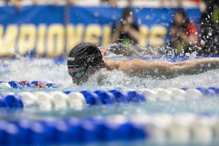250327_LeahDowning_NCAAMensSwimDive_20.jpg