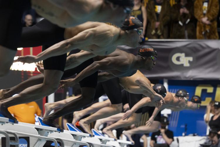 250327_LeahDowning_NCAAMensSwimDive_25.jpg
