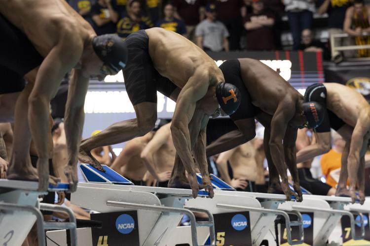 250327_LeahDowning_NCAAMensSwimDive_28.jpg