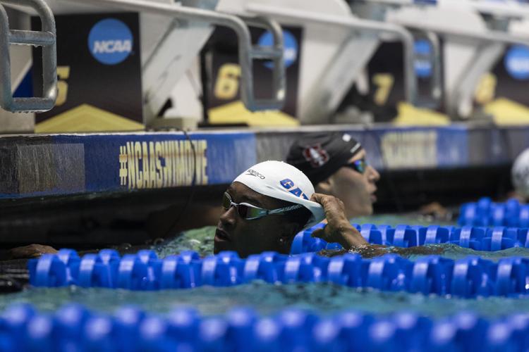 250328_LeahDowning_NCAAMensSwimDive_30.jpg