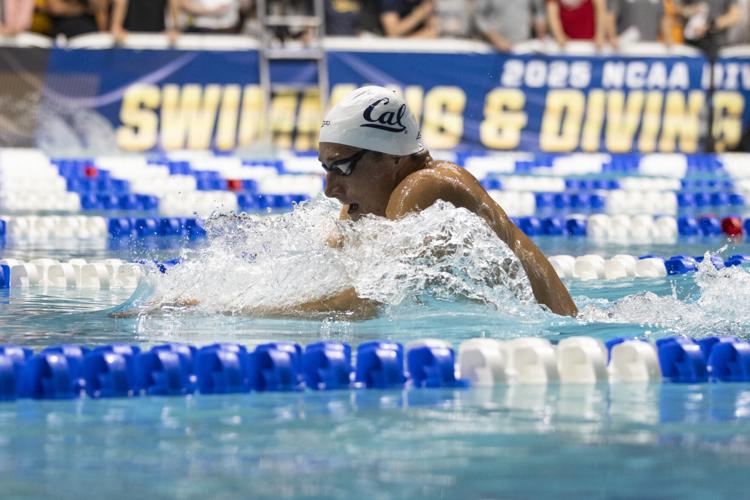 250328_LeahDowning_NCAAMensSwimDive_32.jpg