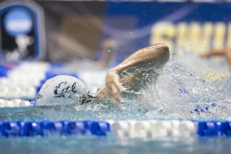 250328_LeahDowning_NCAAMensSwimDive_38.jpg