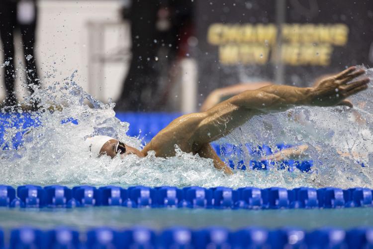 250328_LeahDowning_NCAAMensSwimDive_47-2.jpg