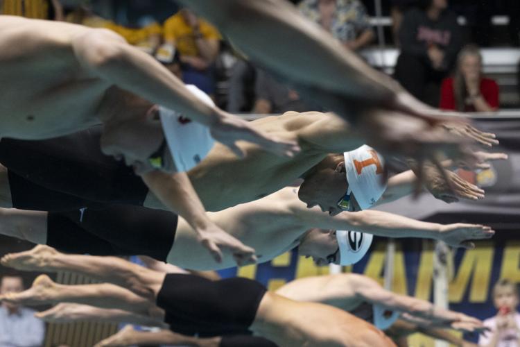 250328_LeahDowning_NCAAMensSwimDive_47.jpg