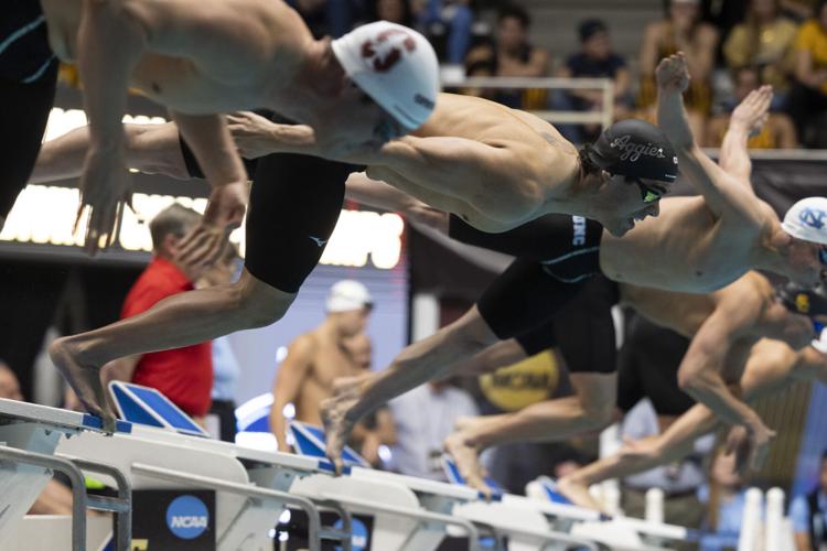 250328_LeahDowning_NCAAMensSwimDive_48.jpg