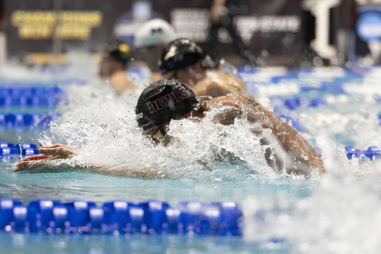 250328_LeahDowning_NCAAMensSwimDive_51.jpg