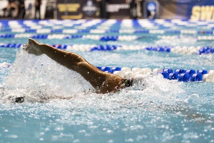 250328_LeahDowning_NCAAMensSwimDive_61.jpg
