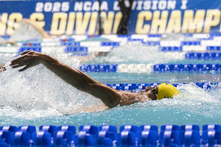 250328_LeahDowning_NCAAMensSwimDive_64.jpg