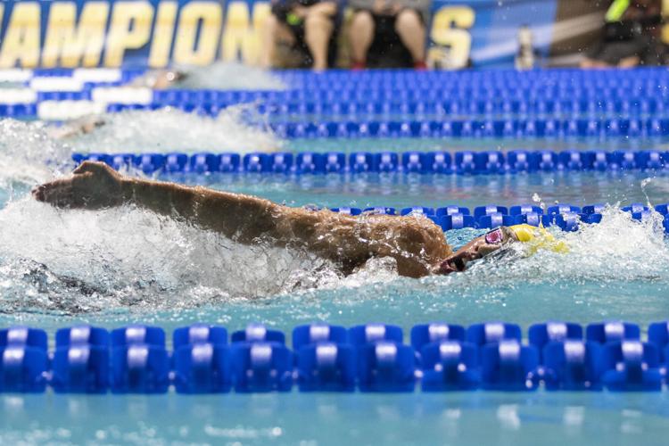 250328_LeahDowning_NCAAMensSwimDive_65.jpg