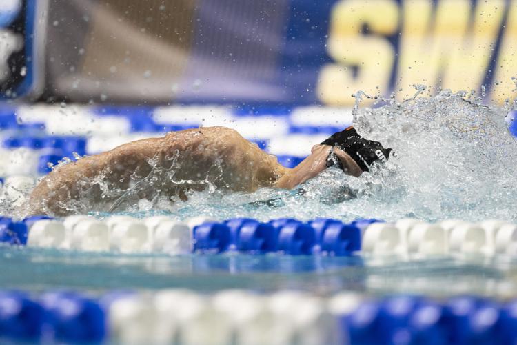 250328_LeahDowning_NCAAMensSwimDive_78.jpg