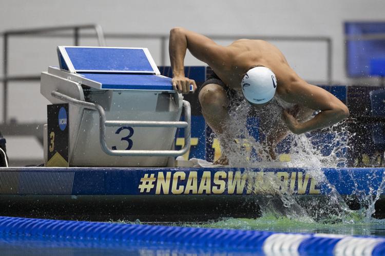 250328_LeahDowning_NCAAMensSwimDive_79.jpg
