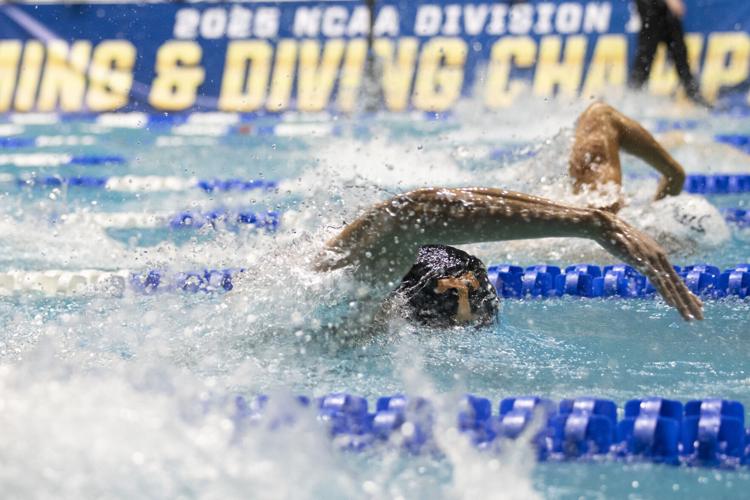 250328_LeahDowning_NCAAMensSwimDive_81.jpg