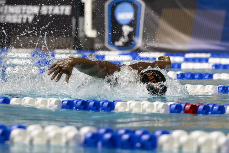 250328_LeahDowning_NCAAMensSwimDive_96.jpg