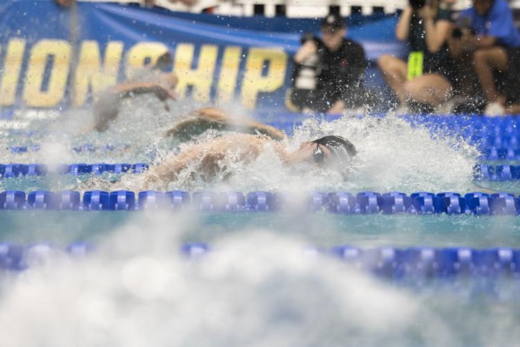 250329_LeahDowning_NCAAMensSwimDive_100.jpg