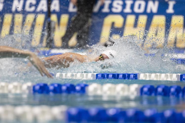 250329_LeahDowning_NCAAMensSwimDive_101.jpg