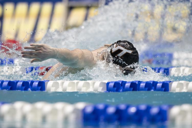 250329_LeahDowning_NCAAMensSwimDive_113.jpg