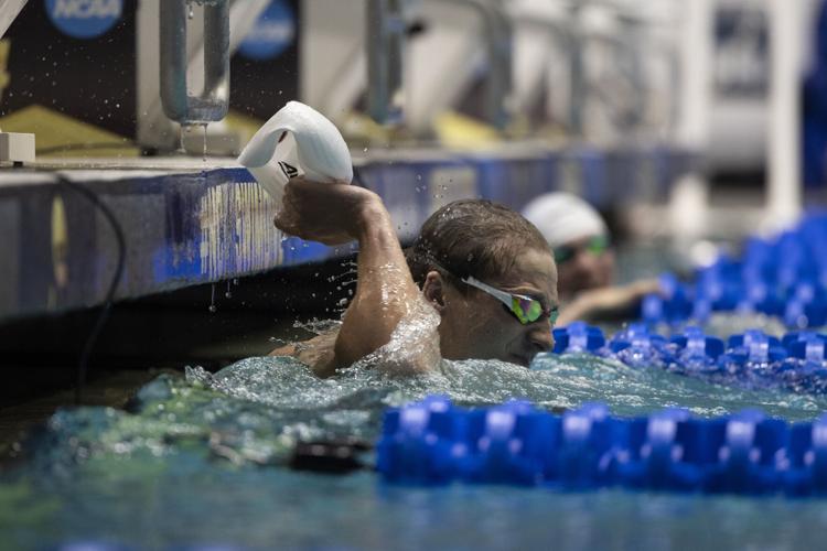 250329_LeahDowning_NCAAMensSwimDive_115.jpg